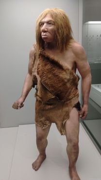 Модель неандертальца в натуральную величину