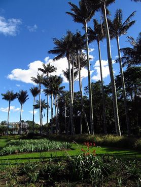 Ботанический сад Боготы