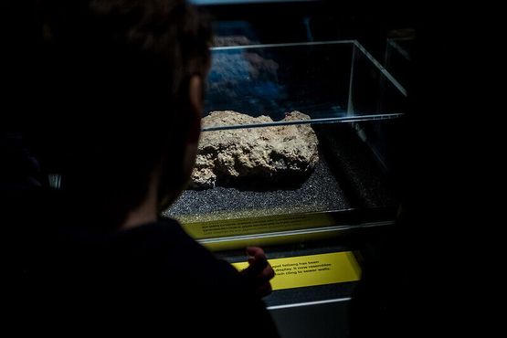 Высушенный кусок фэтберга, демонстрировавшийся в Лондонском музее в 2018 году