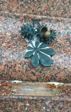 Киевский каштан