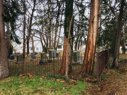 Фамильное кладбище Биддисонов