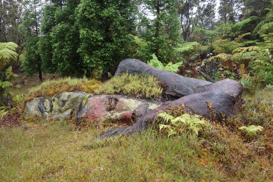 Раэлитский парк мира НЛО