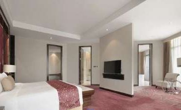 Гостиницы 5*