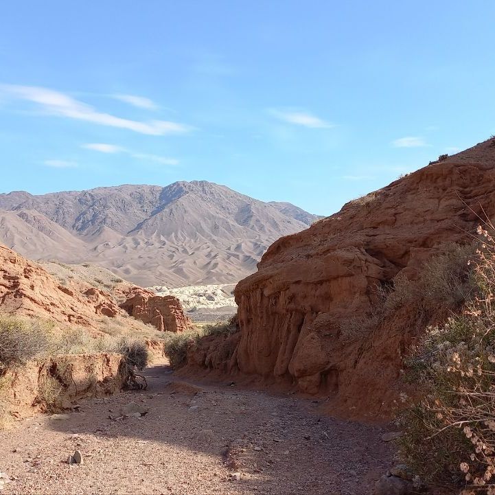 Глэмпинги, Отели 3*, Отели 4*, Юрты