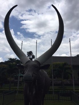 Скульптура коровы анколе в Культурном центре Игонго
