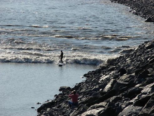 Сёрфингист