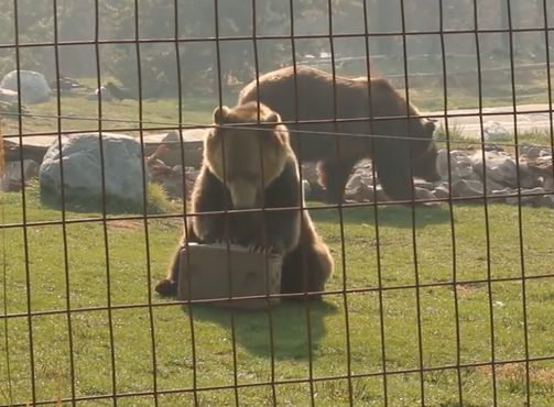 Тщательная проверка походного холодильника