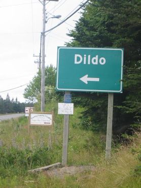 Дилдо, Ньюфаундленд