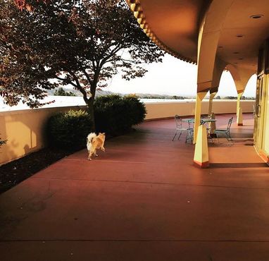 Общественный центр округа Марин