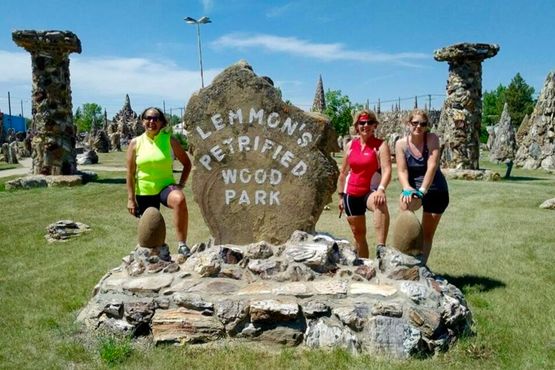 Парк окаменелых деревьев