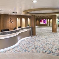 Harmony of The Seas (37/44)