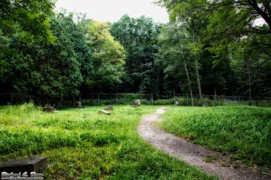 Кладбище Бачелорс-Гроув