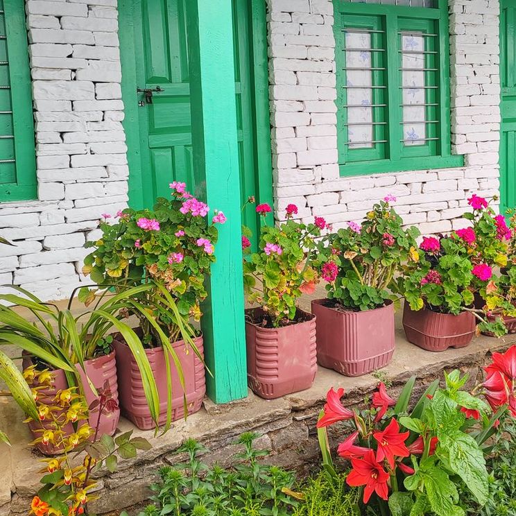 Гостиницы 3*, Лодж