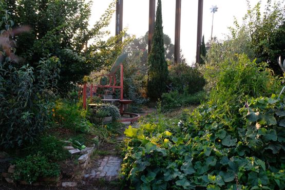 Общественный сад Большого Папочки