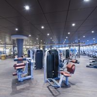 MSC Preziosa (15/34)