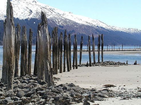 Пирс Тредвелла