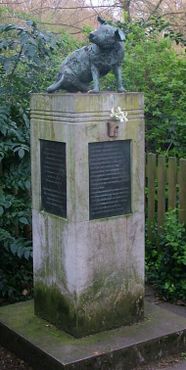 Памятник Коричневой собаке