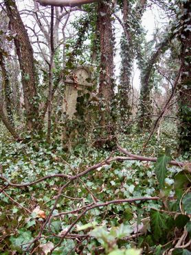 Старое кладбище Цинкоты