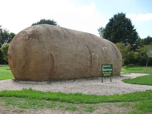 Гигантская картофелина в Робертсоне, Австралия (Викисклад)