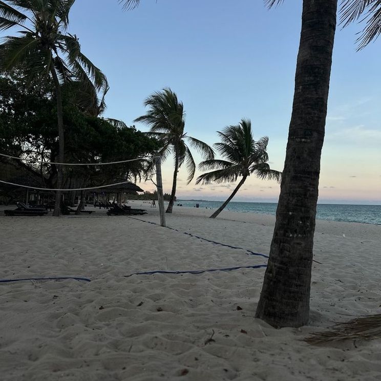 Отели 4*, Лоджи