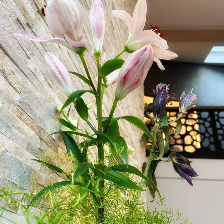 Отели 4*, Бутик-отели, Отели 5*