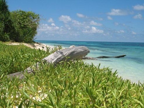 Остров Урсула