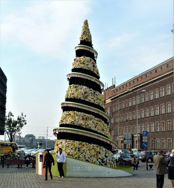 Рождественская ель на Ратушной площади в 2010 году