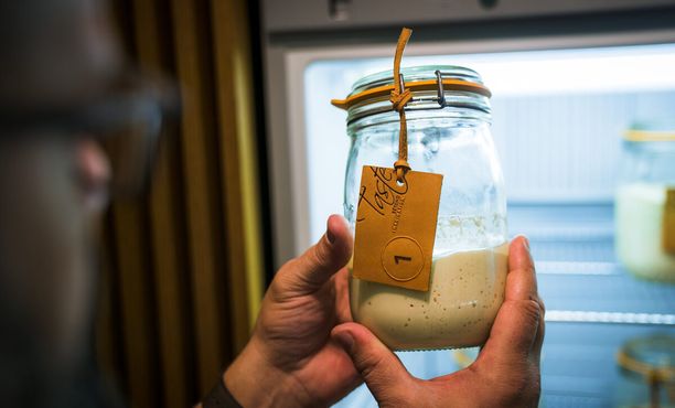 Библиотека заквасок