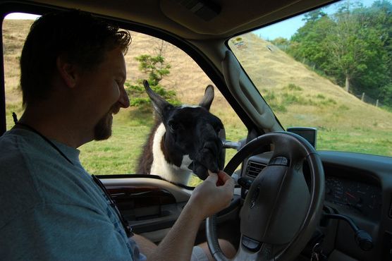 Заповедник «Олимпик-Гейм-Фарм»