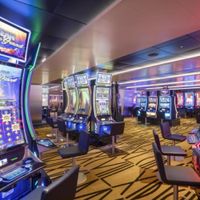 MSC Bellissima (14/32)