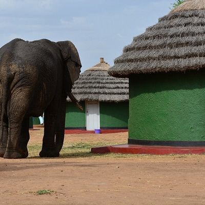 Кемпинги, Гостевые домики