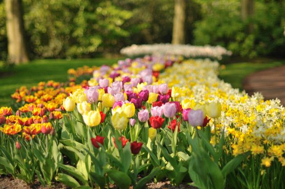 Парк Кёкенхоф