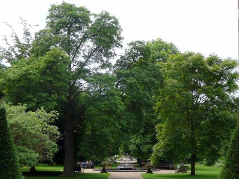 Ботанический сад Оксфордского университета
