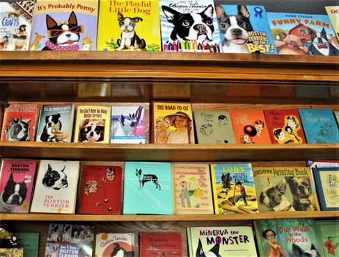 Музей бостон-терьеров