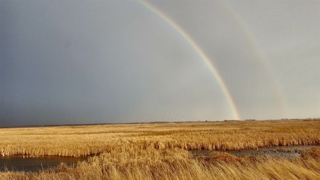 Шайеннская низина