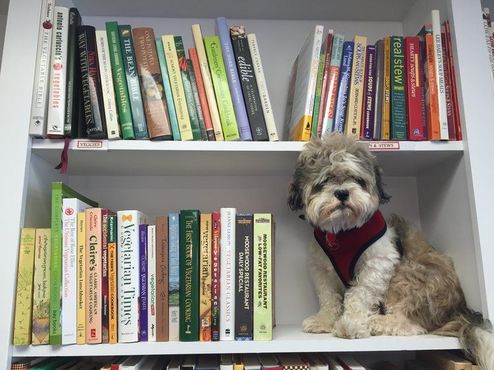 «Креативный уголок»