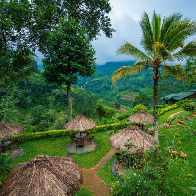 Гостиницы 4*, Бунгало