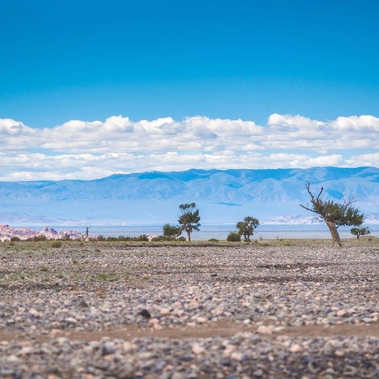 Кемпинги, Отели 3*, Юрты, Палатки