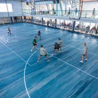 Ovation of The Seas (24/24)