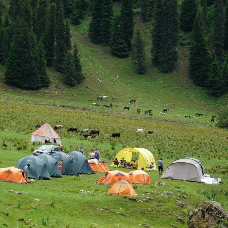 Отели 3*, Палатки