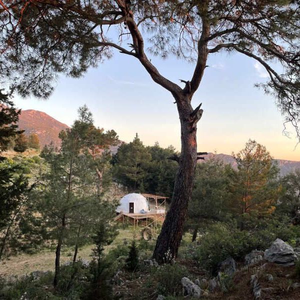 Бутик-отели, Бунгало, Глэмпинги