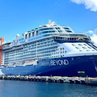 Celebrity Beyond (1/14)