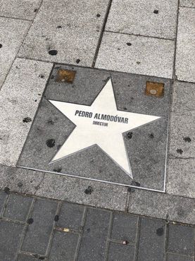 Звезда, посвящённая Педро Альмодовару