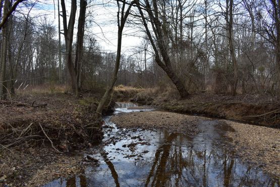 Парк Фоксстоун