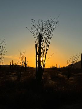 Эль-Камино-дель-Диабло