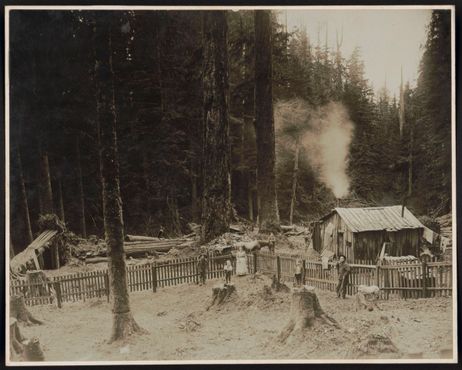 Заготовка леса в Каскадных горах, 1906 г.