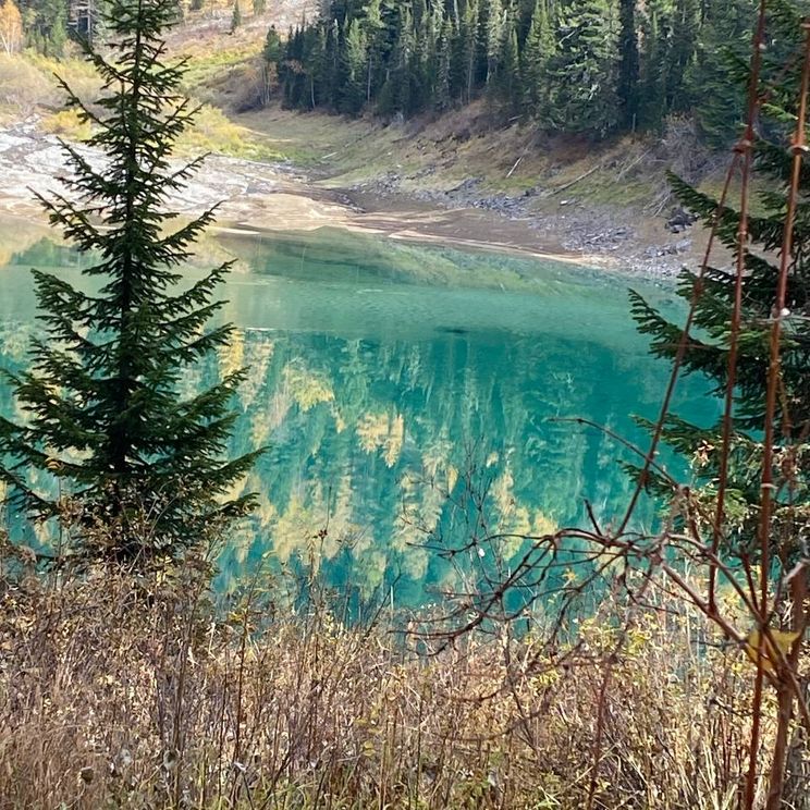 Гостевые домики