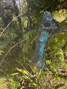 Раэлитский парк мира НЛО