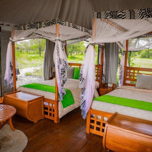 Домик, палатки