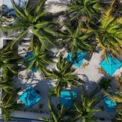 Гостевые домики, Отели 4*